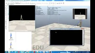 Stream through tcp ip port of Coppelia Robotics (VREP) 's vision sensor