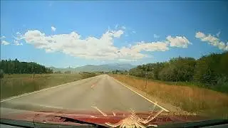 Close Call Whitetail Deer Near-Collision