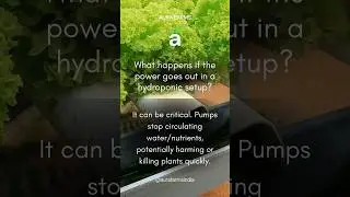 Power cut in Hydroponics? 😱 Plants in danger? | Aura Farms Explains #farming