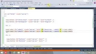 Asp net Localization Vs Globalization