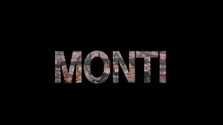 Metropolitan Frames: MONTI