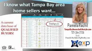 Find Houses in Palm Harbor FL|Top Realtor in Palm Harbor Florida