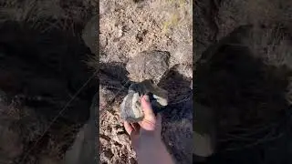 Rainbow glass obsidian &ldquo;Glass Butte Oregon&rdquo; 🌈
