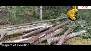Respect of evolution #chainsaw #excavator #offroad 