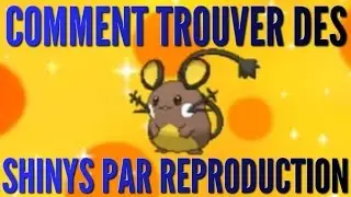 [TUTO] Comment trouver des shinys gr&acirc;ce &agrave; la reproduction ? (M&eacute;thode Masuda) l Pok&eacute;mon ROSA