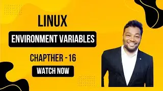 Chapter - 16 - Environment Variables