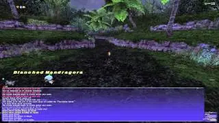 FFXI Reboot - Dances with Luopans