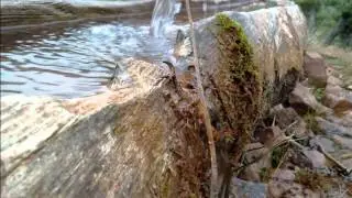 almus bakımlı köyü mamu