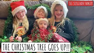 THE CHRISTMAS TREE GOES UP!! | LIGHTS, BAUBLES AND TINSEL | The Sullivan Family