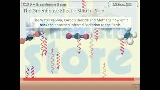C13 Free Sample Material