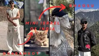 Mini Israel in India || Unexplored Himachal || DHARAMKOT ||Complete village tour and places to visit