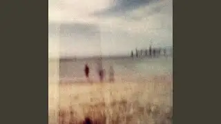 found family