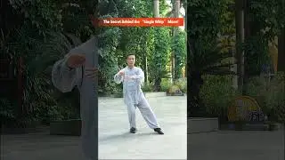 &ldquo;This Tai Chi Move Looks Simple&hellip; But It&rsquo;s Pure Power 🔥 #TaiChi #YangStyleTaiChi #TaiChiMaster