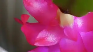 alirızaileselmanisan, yemek. gezi ,eglence pastalar gğn aydın 🌄🙋sabah hayır