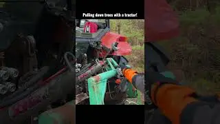 Logging with a tractor! #stihl #farming #tool #tractor #logsplitter #husqvarna #diy #firewood #tools
