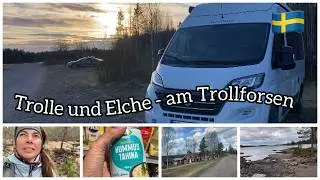#47 | Stellplatz Trollforsen 🇸🇪 | 🅿️ Polcircel | 🛒 in Jokkmokk 🇸🇪