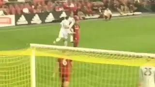 Zlatan Ibrahimovic's 500th Goal from the stands!!