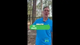 Can Supplements Fix Bad Breath?