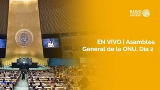 Asamblea General de las Naciones Unidos - D&iacute;a 2