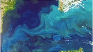 How are Satellites Used to Observe the Ocean