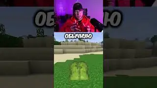 До конца! Вот зачем они нужны... #майнкрафт