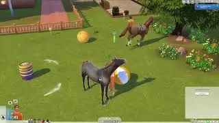 Very Veggie Challenge - Generation 3 - Episode 7 - Carol bought 3 horses
