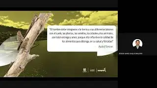 El Desarrollo de la Agricultura Urbana en Techos Verdes y Jardines Verticales 2024