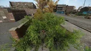 Una tarde antigua en Things with Ali. Miscreated 1.0