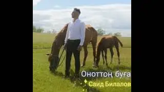 Саид Билалов Оноттон бугай