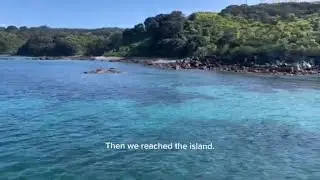 Visit to Tiritiri Matangi Island | Scientific Reserve | | Auckland Harbor | @DE&AElig;R-Research h