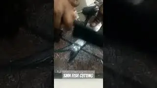 How to Clean and Cut Big Fish Fast. #bigfishcutting #fishcutting #shortyoutube #seafood