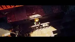 Stray - I am speed