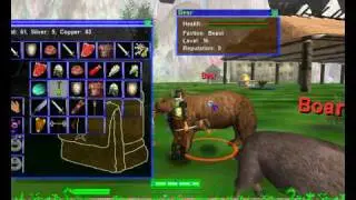 SRO Weapons And Items
