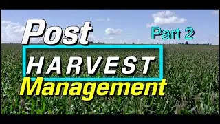 Pests and rodent management