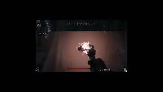 Definitely Top Tier Gameplay  #gaming #fps #gameplay #huntshowdown  #games #professionalgaming