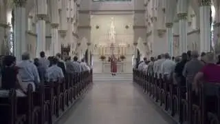 Mass of the Neophytes
