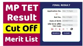MPESB Group 5 Result 2025 | Cut Off Marks, Merit List