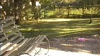 Breton Holiday Gite- Perfect Spot- Garden Seat in the Evening Sun