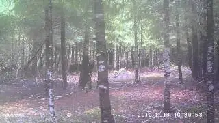 EK000017