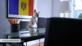 ACCES IMOBIL - Недвижимость которую ты можешь купить!!!
