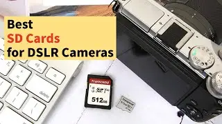 Лучшие SD-карты для зеркальных фотокамер, которые можно купить.