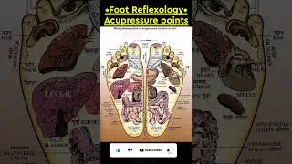 Basic Acupressure points in Foot #reflexology #acupressure  #health #points #sujok #short