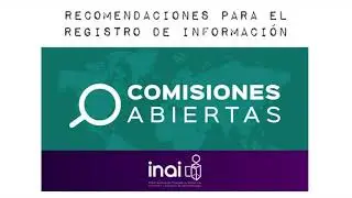 Recomendaciones de captura de informaci&oacute;n - Comisiones Abiertas - INAI