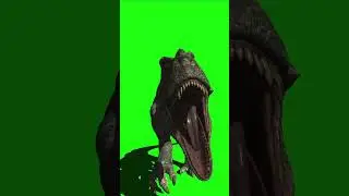 Green Screen Tyrannosaurus Rex video effects #greenscreen #greenscreeneffects #greenscreendinosaur