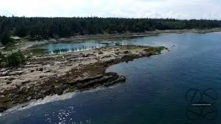 Whaling Station Bay