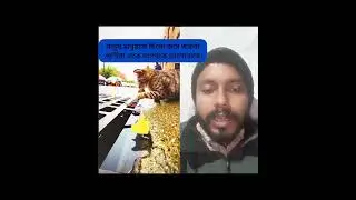 অবলা প্রাণীরা কখনো কাউকে হিংসা করে না!! #cat #birds #technicalpbsarkar #bengalcat #trending #virals