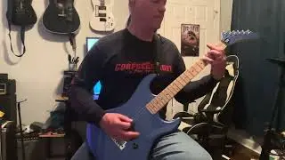 Gilded Cunt Guitar Cover