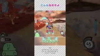 ポッキーにツッコまれるのばまん【カービィのエアライダー】