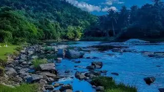 TRIBALS SONGS !! IRULAR !!  ATTPPADI !! AVARAKAI PINCHUEDUTHU POKKILAMMA CHEETY