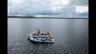 Vendace trawling cruise